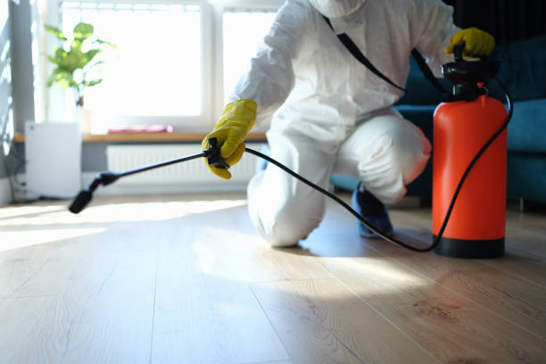 Reliable Odor Removal contractor in Miller, NE by Trauma Clean Pros